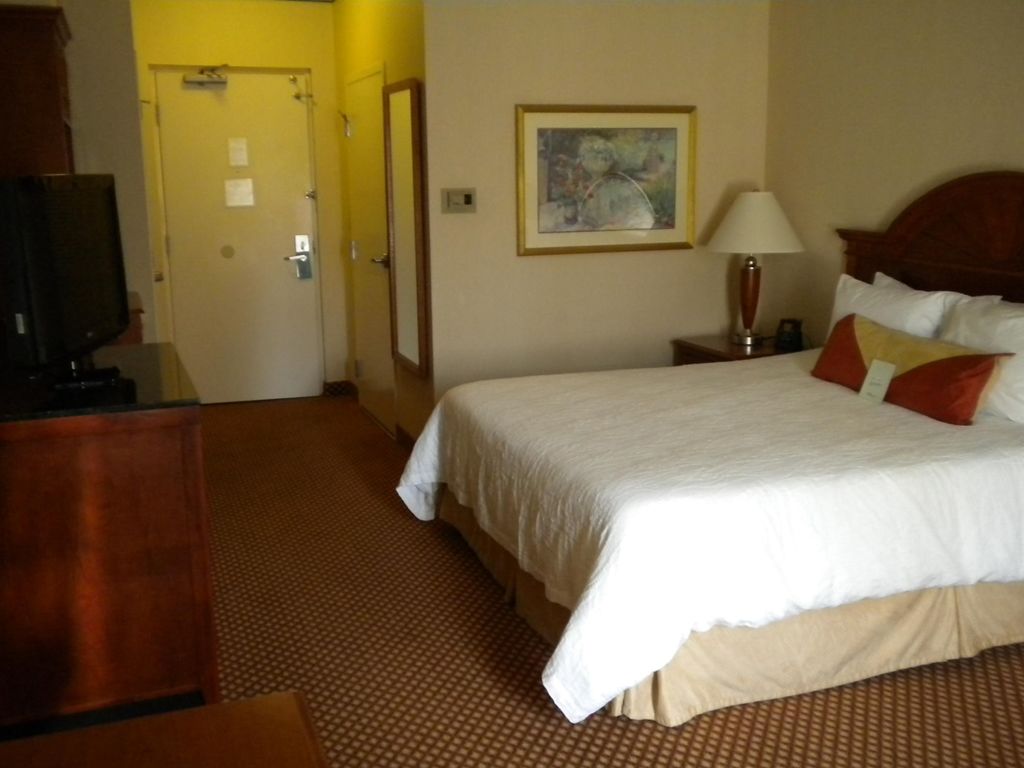 Hilton Garden Inn Philadelphia-Fort Washington Room photo